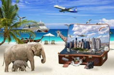 多家航司推出错峰游促销活动 淡季买机票如何省钱