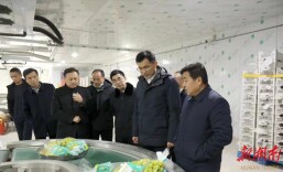 王启武调研农业农村工作