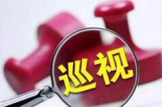 不断提高巡视工作制度化规范化水平 把利剑磨得更光更亮——中央巡视工作领导小组办公室负责人就修订颁布《中国共产党巡视工作条例》答记者问