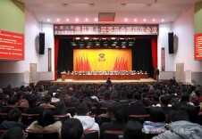 【政协澧县第十届委员会第四次会议】大会胜利闭幕