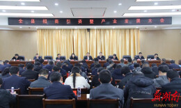 辰溪县招商引资暨产业发展大会召开