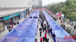 岳阳经开区2024年“春风行动” 首场大型招聘会举行