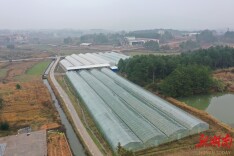 湖南新田：大力推广早稻集中式育秧 打好早稻生产“第一仗”