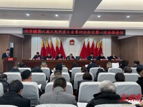 君山区许市镇第八届人民代表大会第四次会议胜利召开