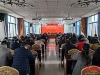 盐井镇学习湖南省第3号总林长令文件精神