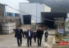 链长到一线：钱政调研金属新材料产业链工作