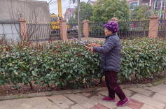 最美夕阳红  助力美乡村