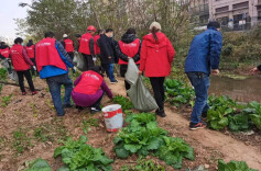 阳春三月学雷锋 河道治理正当时