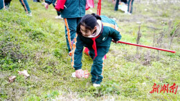 辰溪县开展形式多样的学雷锋活动