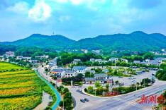 白箬铺镇：白鹤山下箬竹飘香 三色融合助力振兴