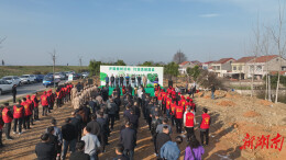 王启武、朱正权等开展义务植树活动