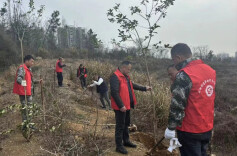 “植”此新绿 为绿充“植” 云湖街道开展义务植树活动