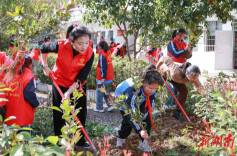 冷水滩：“植”此青绿 共“树”未来 多所学校开展义务植树活动