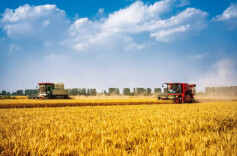 国家安全部：斩断境外伸向我种质资源的窃密“黑手”