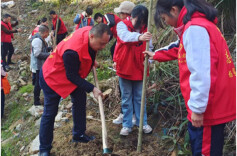 教育丨杨家桥小学开展植树节志愿服务活动