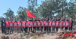 新田县金盆镇：干群植树添新绿 不负春日好时光