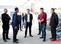 朱正权调研督导农业灾后补损工作并开展巡田工作