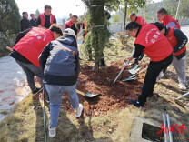 “植”此青绿 辰溪县各地开展植树活动