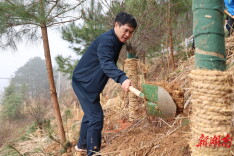 春暖植树正当时 县“四大家”领导带头开展义务植树活动
