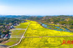 永州冷水滩：春染大地 乡村如画