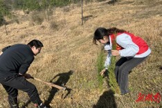 新田三井镇：植绿守护生态屏障