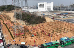 云溪区开展2024年春季义务植树活动