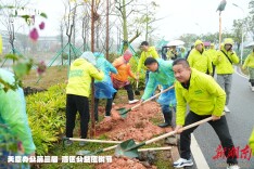 湖南异地商会联合会珠海联络办揭牌仪式暨珠海湘友第十一届植树节圆满举行