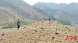 新田：强化村级监督实效 打通日常监督“最后一公里”