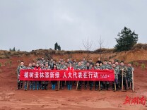 新田：人大代表履“植”尽责  携手共建  “人大林”