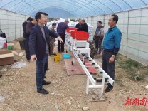 新田县大坪塘镇：全力推进春耕生产 确保粮食安全、农民增收