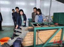 张洁调研食品安全和品牌建设工作