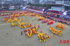 同赏板板龙灯，共庆“春季村晚”——第二届慈利板板龙灯艺术季活动启幕