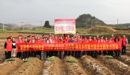 新田：春耕正当时 个协党员下乡助农忙