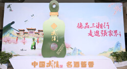 “德品三湘行”活动走进张家界：深化交流，共谋湖湘名企发展新篇章