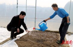 乡村振兴奏响春之声｜岳阳经开区：春风至 产业兴