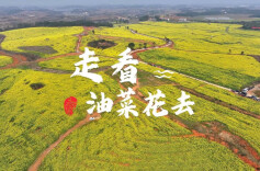 永州十场花事丨阳春三月 正是踏春赏花好时节