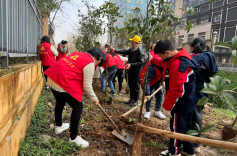 捡拾垃圾种植树苗 “妆”点港子河河岸