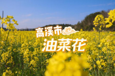 永州十场花事︱看油菜花开 赏高溪春色