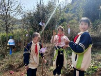 双牌县泷泊镇：护苗助成长 共绘绿书签