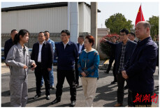 省第二督察组组长率队 下沉岳阳市云溪区督察