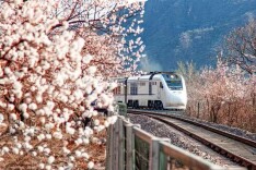 加开4对！到昌平 搭乘“开往春天的列车”共赴春之约