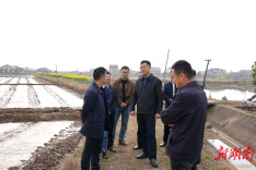 王启武调研粮食生产及春耕备耕工作