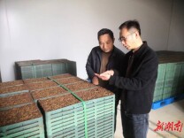 万象“耕”新，不负农时！康王乡春耕备耕有序开展