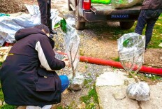 双牌县融媒体中心开展植树造绿活动