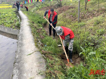 辰溪县火马冲镇：多方联动齐“清淤”，共创美丽新农村