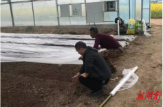 【优化营商环境】辰溪县潭湾镇：农技指导助春耕，厚植营商新沃土