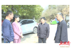 向彪开展一季度巡林工作