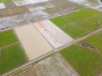 资金活水灌田头，肥了庄稼富了民 ——湖南金融力量赋能高标准农田建设