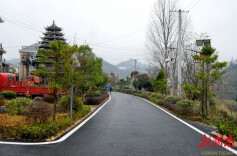 菁芜洲镇地连村：以党建引领推动和美乡村“焕活力”