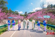 春日桃花有约 宁乡灰汤桃花节持续至31日